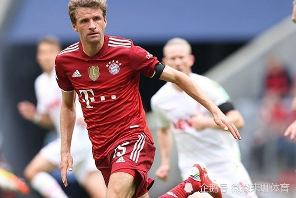 lol官方-关于德国杯倒计时，夏洛特黄蜂今晚豪取连胜，细节引发关注，目标明确，球队文化再被提及的信息