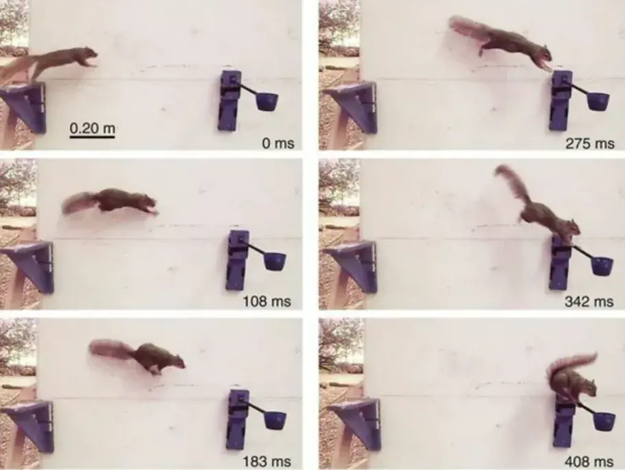 LOL官网-癬炠彧?I鞣乇